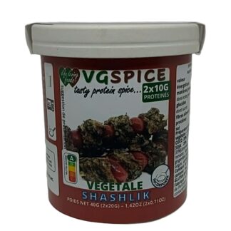 VGSPICE SHASHLIK