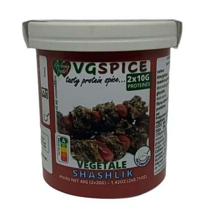 VGSPICE SHASHLIK