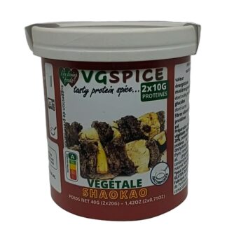 VGSPICE SHAOKAO