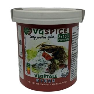 VGSPICE GYROS