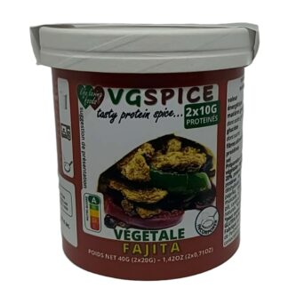 VGSPICE FAJITA