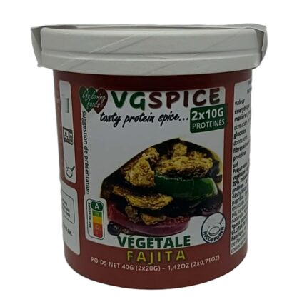 VGSPICE FAJITA